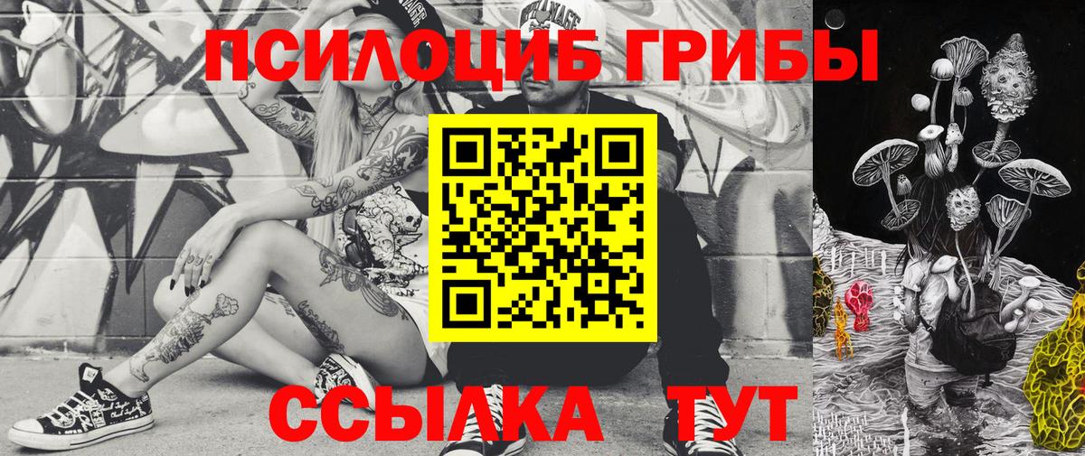Гатчина  Галлюциногенные грибы ЛСД  Вход с VPN  Галлюциногенные грибы Psilocybine cubensis 